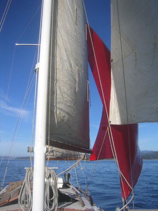 gal/New Boat/IMG_3837.jpg